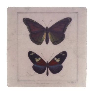 Fliese 'Schmetterling'