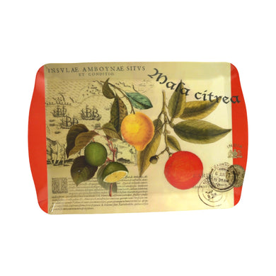 Tablett 'Zitrusfrüchte'