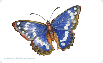 Brettchen 'Schillerfalter'