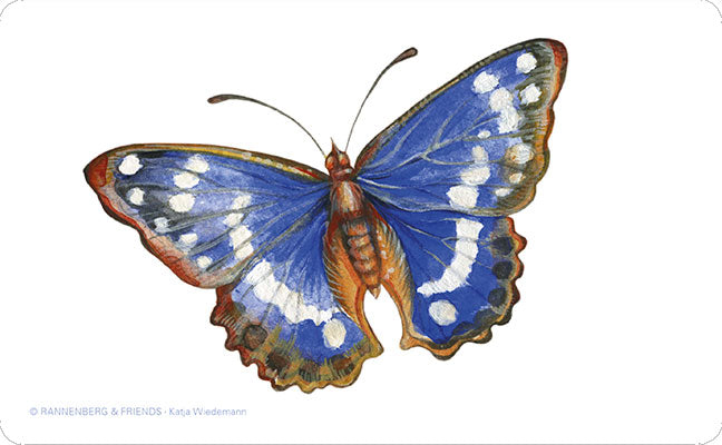 Brettchen 'Schillerfalter'