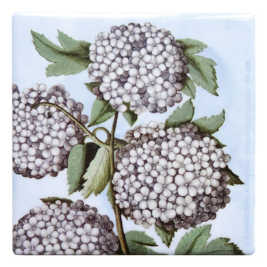 Untersetzer 'Schneeball'