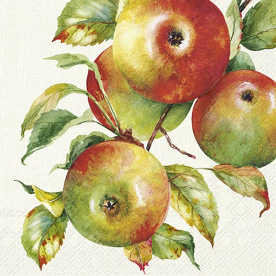 Lunch-Serv. 'Home grown Apples' cream