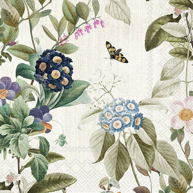 Cocktail.-Serv. 'Vanessa' cream