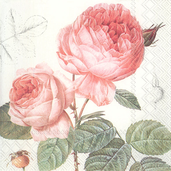 Lunch-Serv. 'Elisabeth'