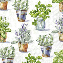 Laden Sie das Bild in den Galerie-Viewer, Lunch-Serv. &#39;Aromatic Herbes&#39; light green