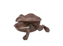 Laden Sie das Bild in den Galerie-Viewer, Schlüsselversteck 'Frosch'