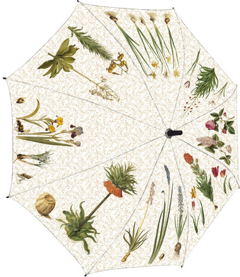 Regenschirm 'Aus dem Gottorfer Codex 1'
