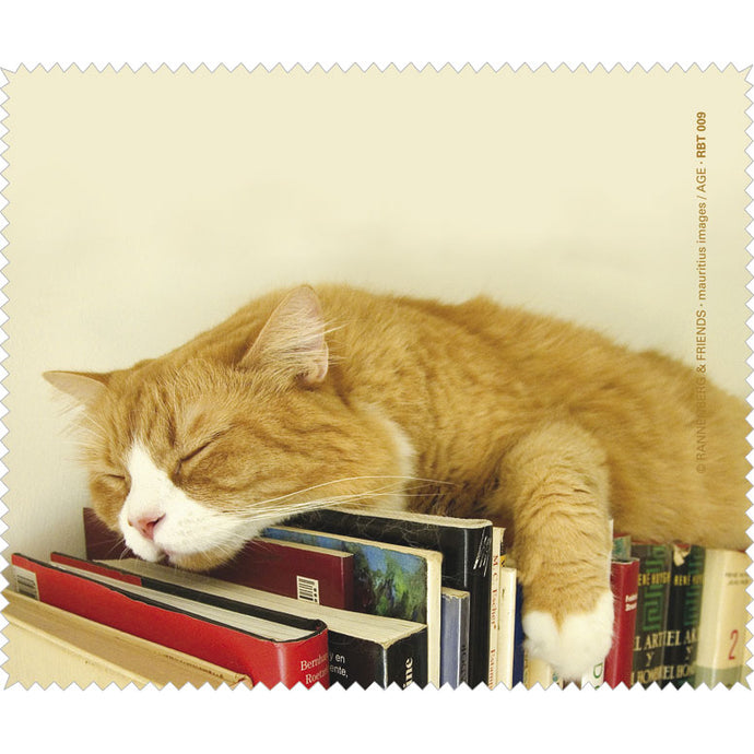 Brillenputztuch 'Schlafende Katze mit Büchern'
