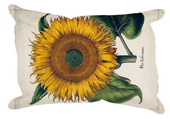 Schwamm 'Sonnenblume'