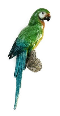 Poly-Papagei auf Ast, grün