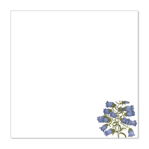 Klebezettel 'Marienglockenblume'