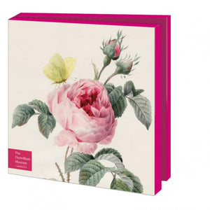 Grußkartenbox 'Rose'