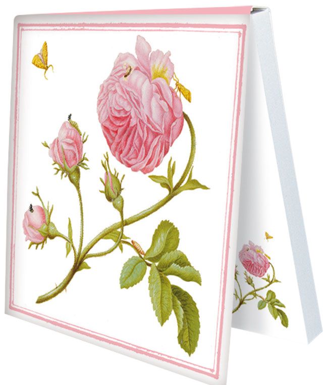 Klebezettel 'Buschrose mit Miniermotte'