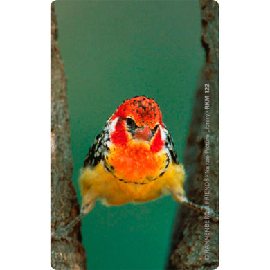 Magnet 'Spagatvogel'