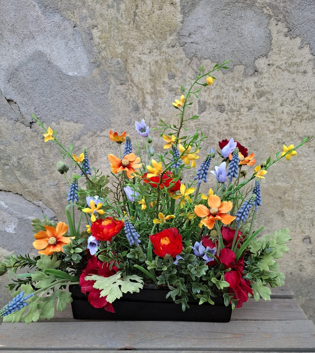 Frühlingswiese – Bunte Blütenfreude