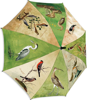 Regenschirm 'Vögel Mitteleuropas 1'
