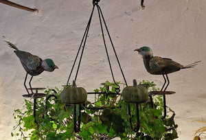 Vogel 'Oscar' nach unten schauend, grün