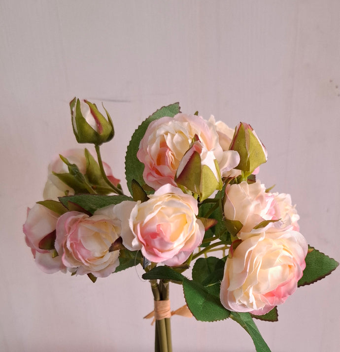 Rosenbündel  'Augustine' creme-rosa