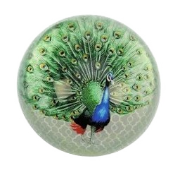Briefbeschwerer Pfau III