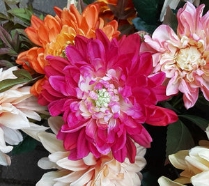 Kugel-Chrysantheme 'New Art' pink