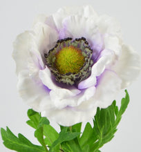 Laden Sie das Bild in den Galerie-Viewer, Anemone, weiß mit lila