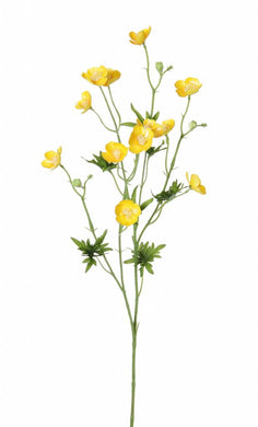 Butterblumen-Zweig x12