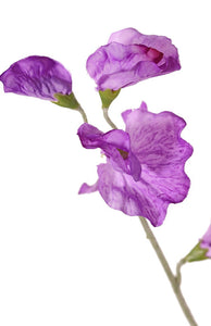 Wicke lila