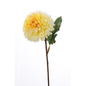 Chrysantheme Noa hell-gelb