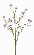 Laden Sie das Bild in den Galerie-Viewer, Flockenblume blau