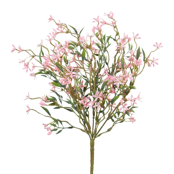Jasmin-Busch, rosa – Camandus