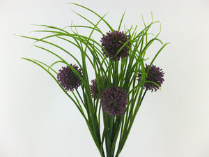 Allium- Grasbusch lila x 5
