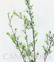 Laden Sie das Bild in den Galerie-Viewer, Blüten-Beeren-Zweig creme-grün 96cm