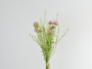 Allium-Bündel  Lea  rosa