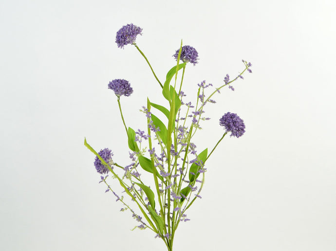 Allium-Mix-Busch lila