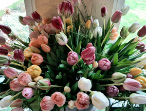 Tulpen-Bund 'Camilla', x 5, hellrosa