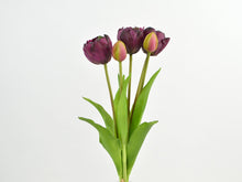 Laden Sie das Bild in den Galerie-Viewer, Tulpen-Bündel &#39;Viola&#39; dunkel-violett x5