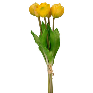 Tulpen-Bund 'Camilla' x 5, gelb