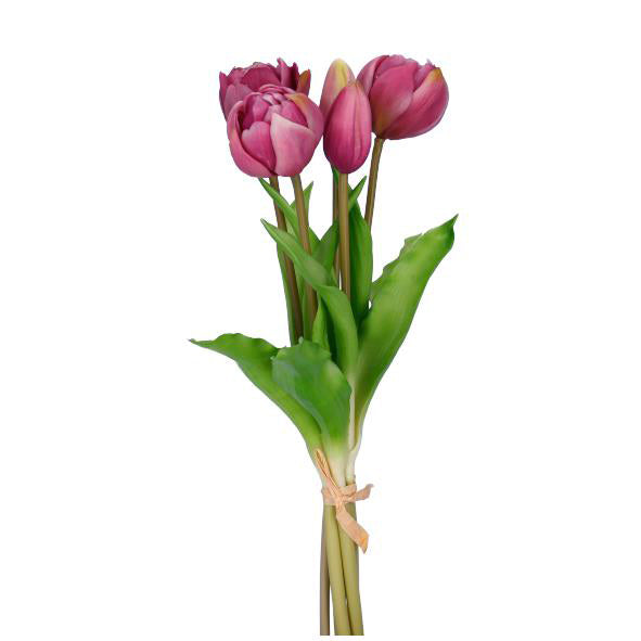 Tulpen-Bund 'Camilla' x 5, violett
