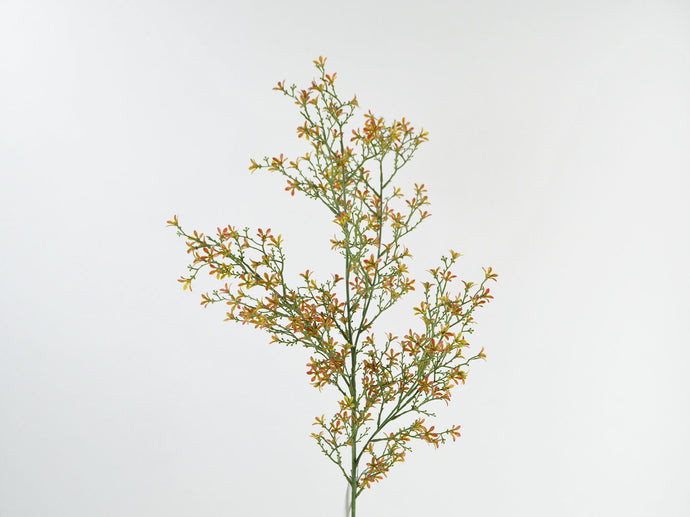 Stern-Blüten-Zweig grün-braun 75cm