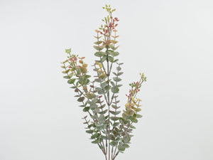 Eukalyptus-Zweig x3, grün-rot