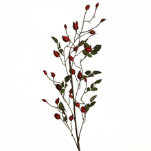 Laden Sie das Bild in den Galerie-Viewer, Hagebutte 'Juckpulver' rot