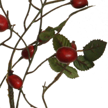 Laden Sie das Bild in den Galerie-Viewer, Hagebutte 'Juckpulver' rot