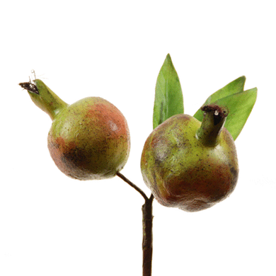Granatapfel-Zweig grün-rot