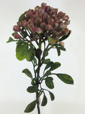 Beeren-Tuff mit Blatt lila