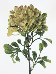 Beeren-Tuff m.Blatt grün-lila