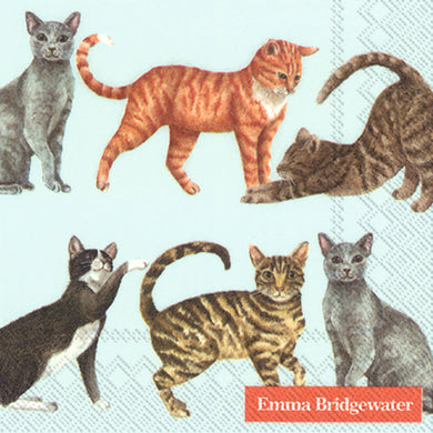 Cocktail-Servietten 'Cats' light blue