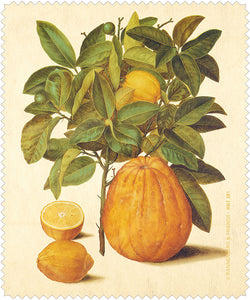 Brillenputztuch 'Citrus limonum'