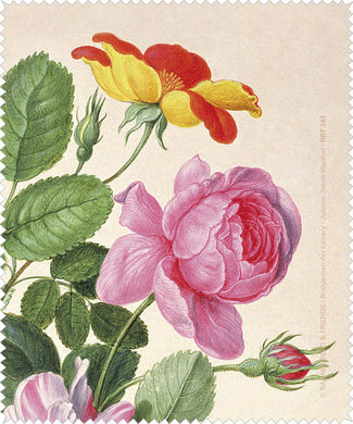 Brillenputztuch 'Rosen aus dem Nassau Florilegium'