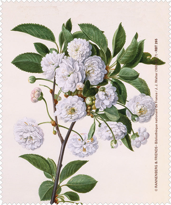 Brillenputztuch 'Kirschbaum aus dem Nassau'