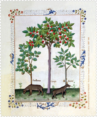Brillenputztuch 'Haselnussbusch und Kirschbaum'